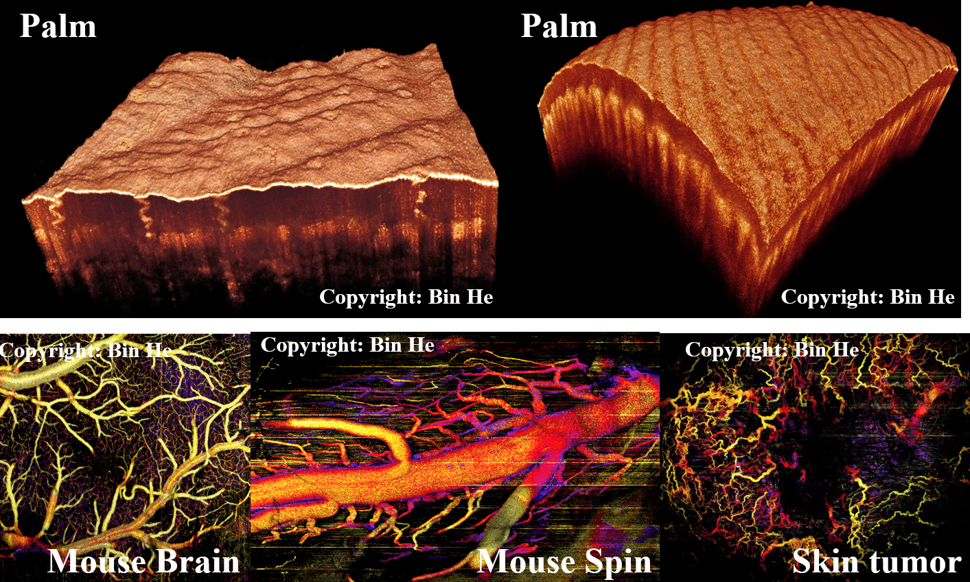 Example Images